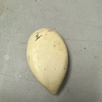 Garmin Gps Antenna GA56 GA-56 011-00134-00. Fixed Price $40.00.